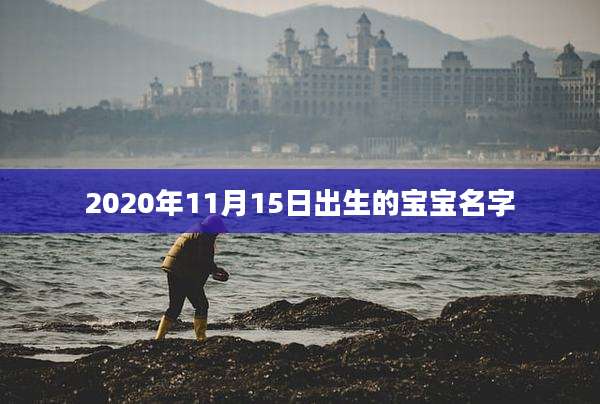 2020年11月15日出生的宝宝名字