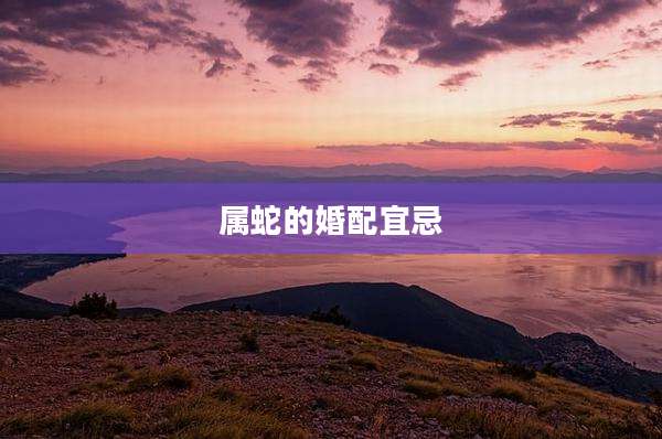 属蛇的婚配宜忌
