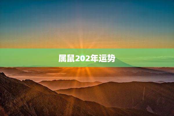 属鼠202年运势