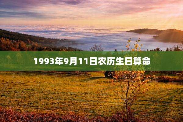 1993年9月11日农历生日算命