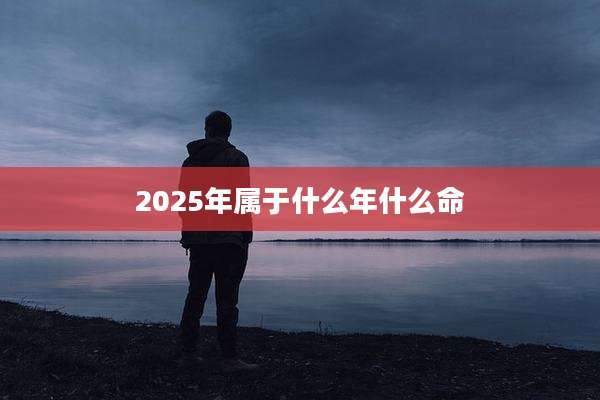 2025年属于什么年什么命