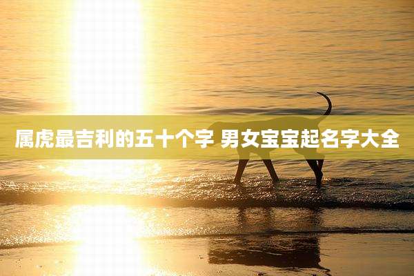 属虎最吉利的五十个字 男女宝宝起名字大全