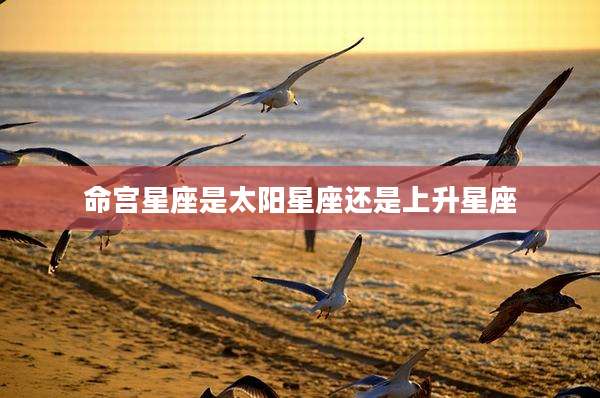 命宫星座是太阳星座还是上升星座