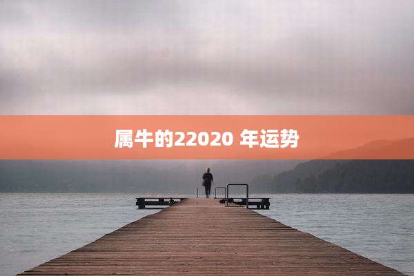 属牛的22020 年运势