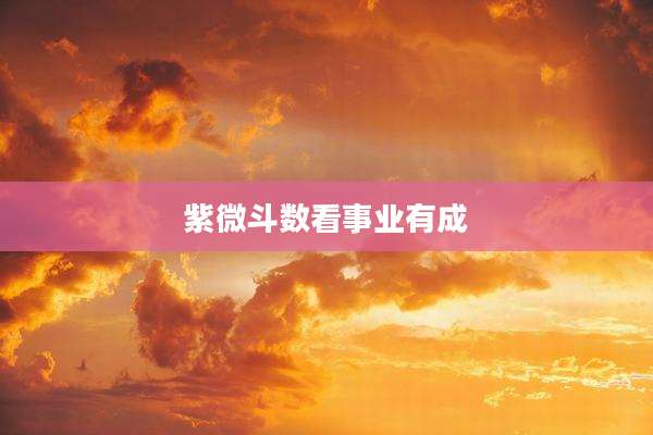 紫微斗数看事业有成