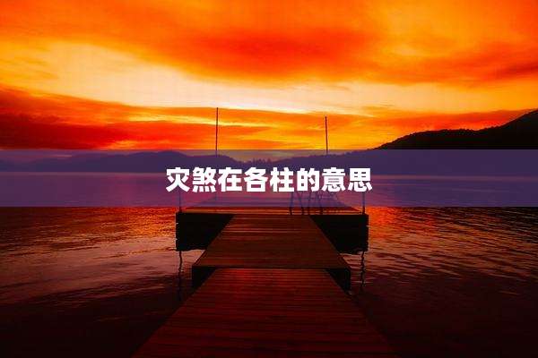 灾煞在各柱的意思