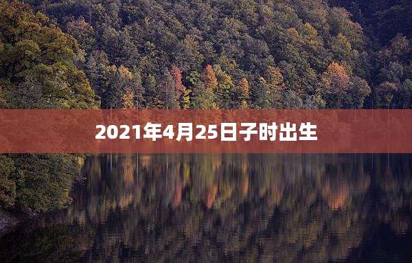 2021年4月25日子时出生