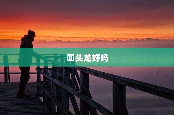 回头龙好吗