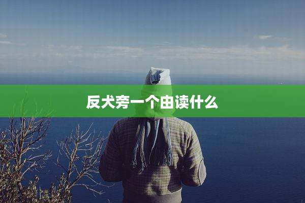反犬旁一个由读什么