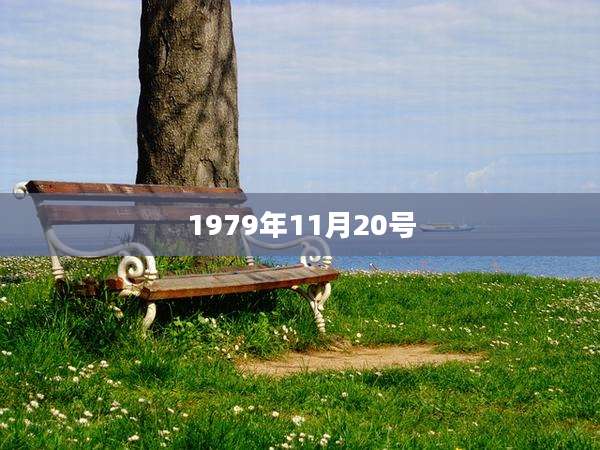 1979年11月20号
