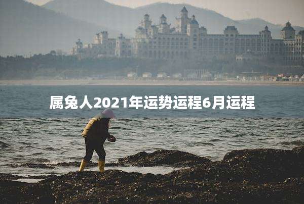 属兔人2021年运势运程6月运程