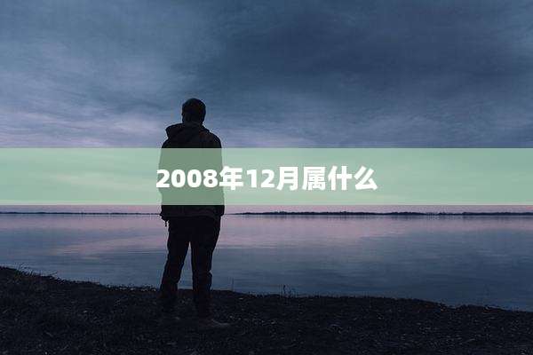 2008年12月属什么