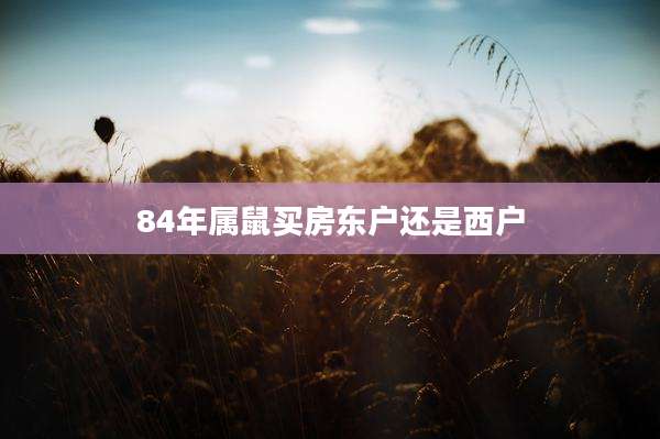 84年属鼠买房东户还是西户