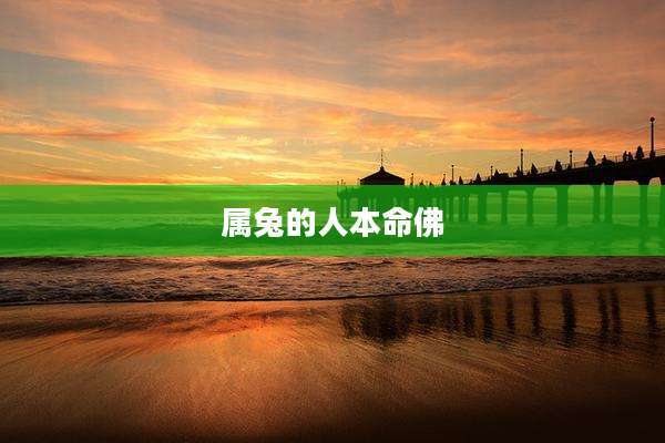 属兔的人本命佛