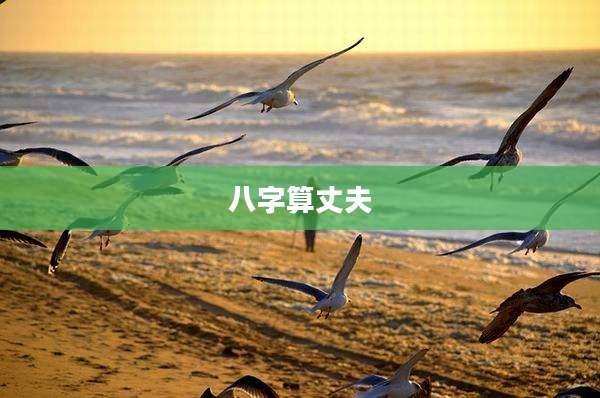 八字算丈夫