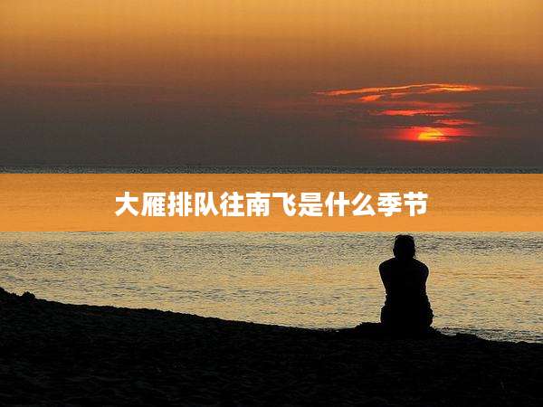 大雁排队往南飞是什么季节