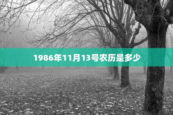 1986年11月13号农历是多少