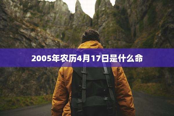 2005年农历4月17日是什么命