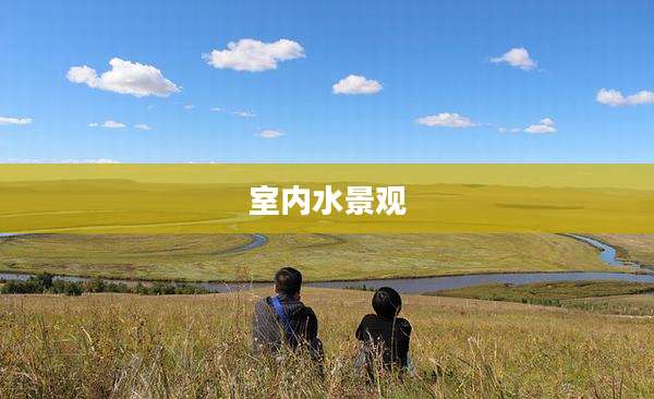 室内水景观