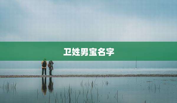 卫姓男宝名字