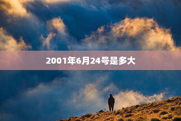 2001年6月24号是多大