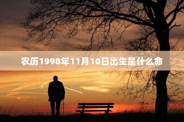 农历1998年11月10日出生是什么命