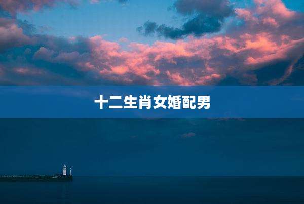 十二生肖女婚配男