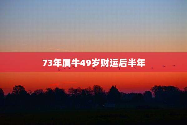 73年属牛49岁财运后半年