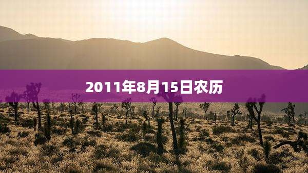 2011年8月15日农历