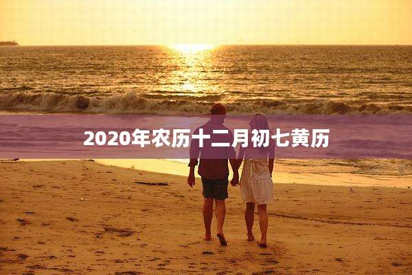 2020年农历十二月初七黄历