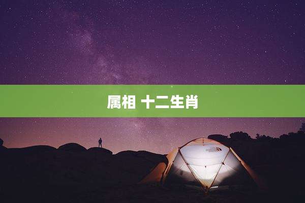 属相 十二生肖