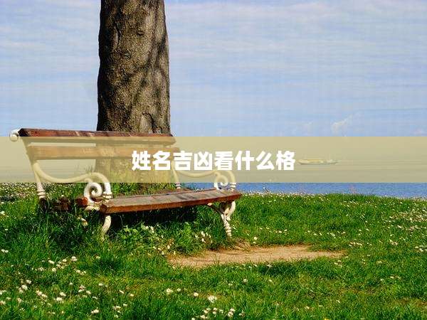 姓名吉凶看什么格