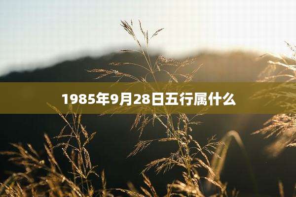 1985年9月28日五行属什么