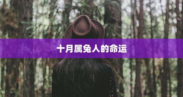十月属兔人的命运