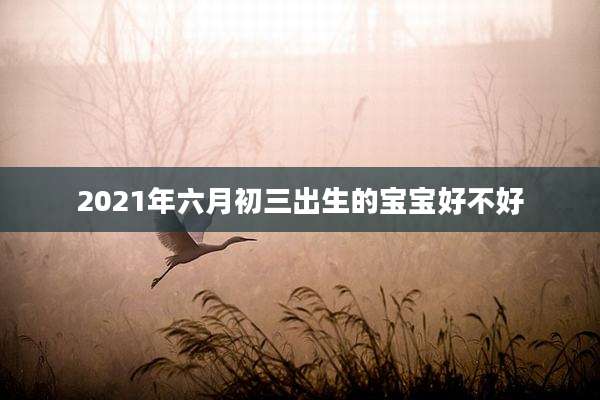 2021年六月初三出生的宝宝好不好