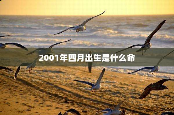 2001年四月出生是什么命