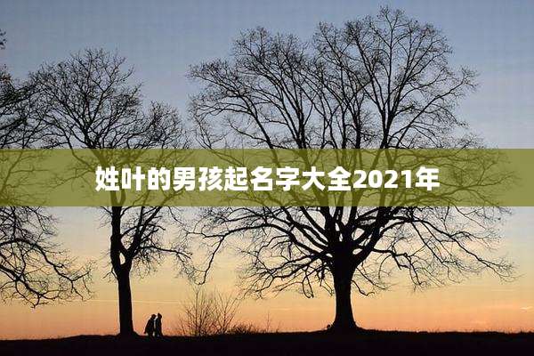 姓叶的男孩起名字大全2021年