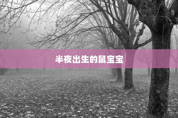 半夜出生的鼠宝宝