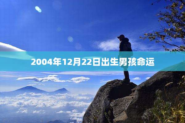2004年12月22日出生男孩命运