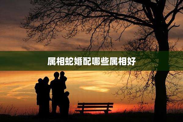 属相蛇婚配哪些属相好
