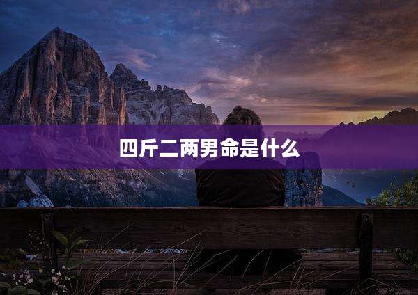 四斤二两男命是什么
