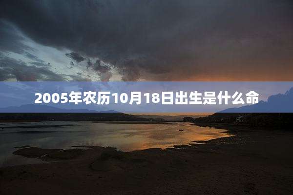 2005年农历10月18日出生是什么命