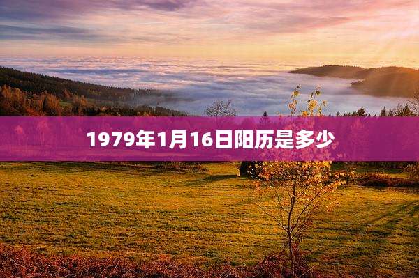 1979年1月16日阳历是多少