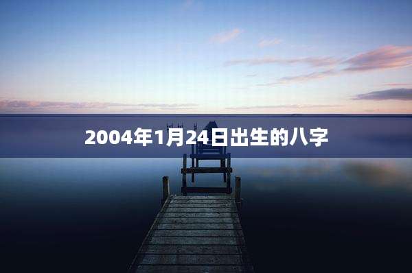 2004年1月24日出生的八字
