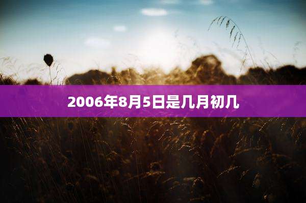 2006年8月5日是几月初几