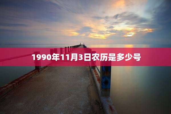 1990年11月3日农历是多少号
