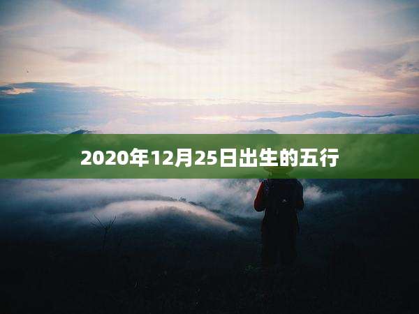 2020年12月25日出生的五行