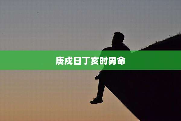 庚戌日丁亥时男命