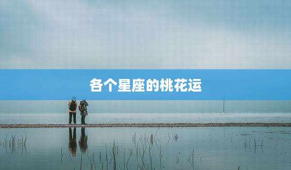 各个星座的桃花运