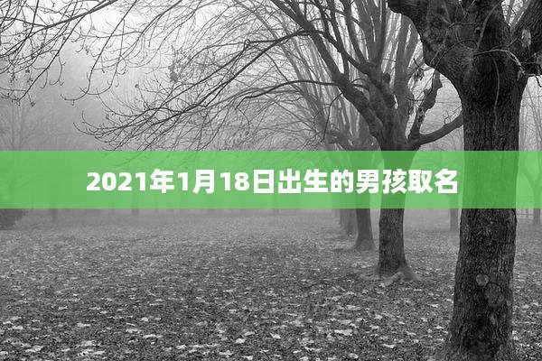 2021年1月18日出生的男孩取名